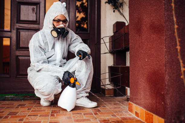 Reliable Wasp Removal contractor in Lockhart, TX by Show Me Pest Control